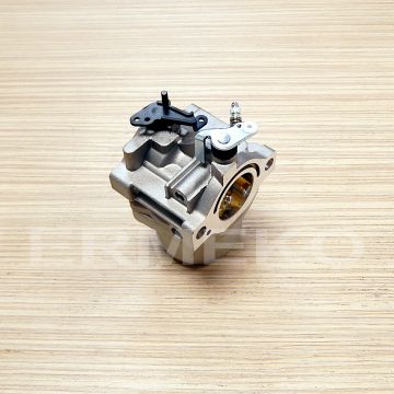 Carburator BRIGGS & STRATTON 799728, 498027, 498231, 499161