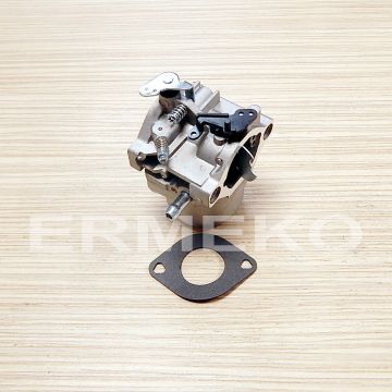 Carburator BRIGGS & STRATTON 799728, 498027, 498231, 499161 - ER30270823