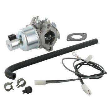 Carburator motor BRIGGS & STRATTON 791889, 693194, 698782 - 791889
