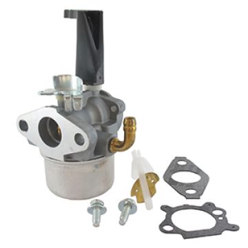 Carburator motor BRIGGS & STRATTON 798653, 693865, 694508, 696981, 697354, 698859, 698860, 790290, 791077/ER5208225 - ER5208225