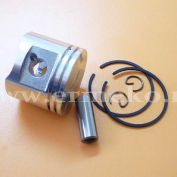 Piston complet - ER304350370
