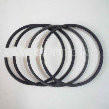 Set segmenti STD LOMBARDINI LDA510, LDA450, 3LD511 - 8210055
