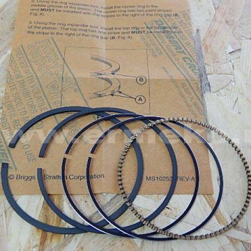 Set segmenti BRIGGS & STRATTON - 797304