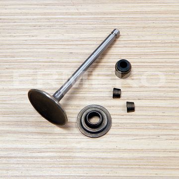 Supapa admisie BRIGGS & STRATTON 793556 - 793556