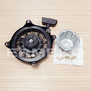 Demaror motor BRIGGS & STRATTON 494960
