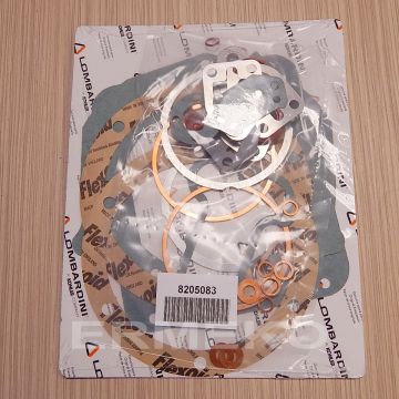 Set garnituri LOMBARDINI  LDA820, 4LD820, 4LD705, LDA100 - 8205083