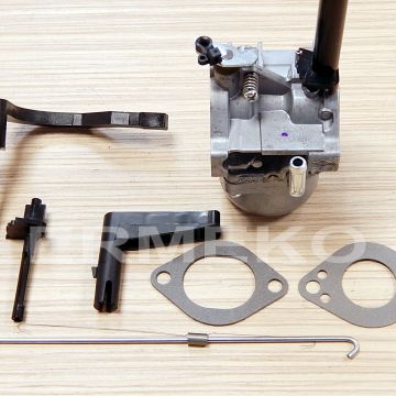 Carburator motor BRIGGS&STRATTON 591378, 695920, 699958, 796321, 696132, 699966