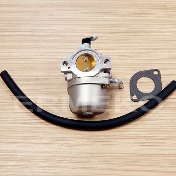 Carburator motor BRIGGS & STRATTON  590399, 794653, 593432, 794308, 790021, 790022, 791266, 793227, 794215