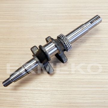 Arbore cotit ZONGSHEN XP200