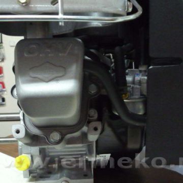 Motor Briggs&Stratton 800 series
