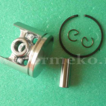 Piston complet - ER304350258