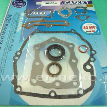 Set garnituri motor BRIGGS & STRATTON 496117, 493263, 497316 - ER5407368