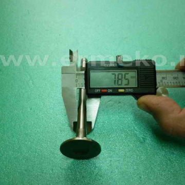 Supapa evacuare BRIGGS & STRATTON 390419