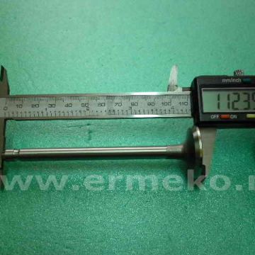 Supapa evacuare BRIGGS & STRATTON 390419
