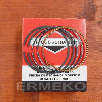 Set segmenti STD BRIGGS & STRATTON 09P602, 09P702 - 590523 - 590523