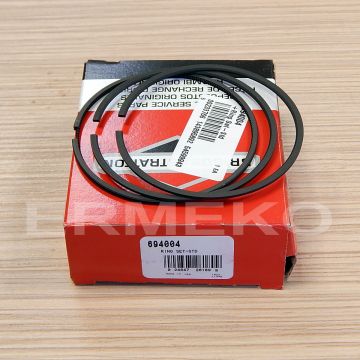Set segmenti BRIGGS & STRATTON 694004 - 694004