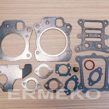 Set garnituri - BRIGGS & STRATTON 592174, 799496 - 592174