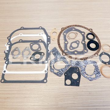 Set garnituri OEM - BRIGGS & STRATTON 297275, 397144, 293525, 495602 - 495602