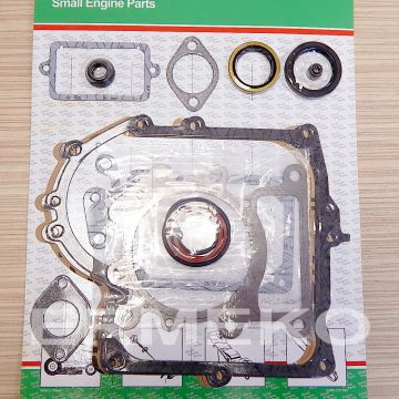 Set garnituri motor BRIGGS & STRATTON 690189 - ER5409857