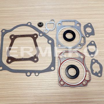 Set garnituri motor BRIGGS & STRATTON 594951 - 594951