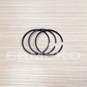 Set segmenti STD 86mm motocultor RURIS 1001 KSD - ER-ps186f-4-1