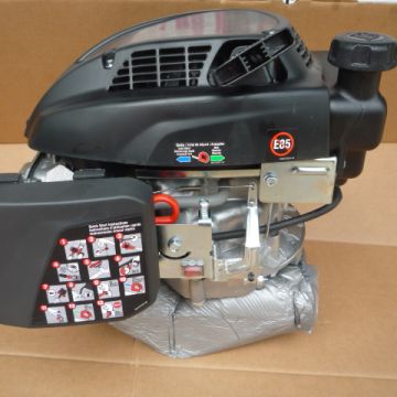 Motor Homelite RV170