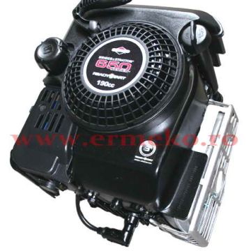 Motor Briggs&Stratton 650 series