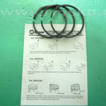 Set segmenti BRIGGS & STRATTON