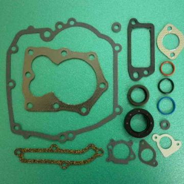 Set garnituri motor BRIGGS & STRATTON 590508 - 590508