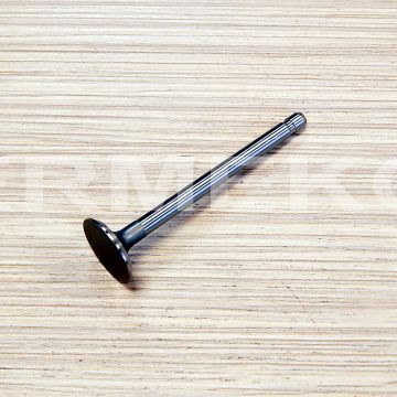 Supapa evacuare BRIGGS & STRATTON 390420, 691794 - ER5707056