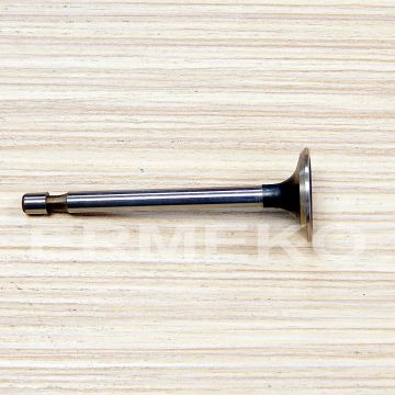 Supapa evacuare BRIGGS & STRATTON 499642 - ER3-567