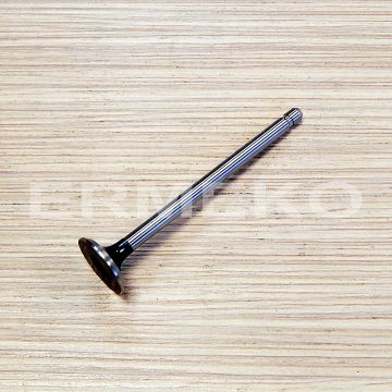 Supapa evacuare motor BRIGGS & STRATTON 262246, BS262246S - ER5707062