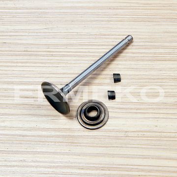 Supapa evacuare BRIGGS & STRATTON 793557 - 793557