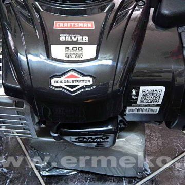 Motor Briggs & Stratton 5.00 series OHV