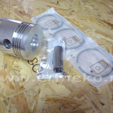 Piston complet STD LOMBARDINI/RUGGERINI RD270 - 2492000