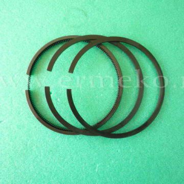 Set segmenti Ø 76.20 mm BRIGGS & STRATTON - ER07-01024