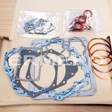 Set garnituri motor RUGGERINI RD290 - 8205099