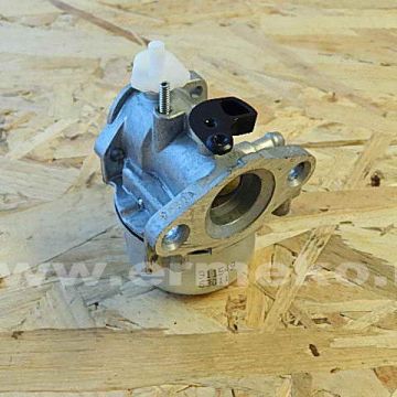 Carburator motor BRIGGS & STRATTON 799869 - 799869