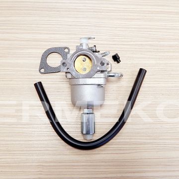 Carburator motor BRIGGS & STRATTON 593433, 699916, 794294 - ER5208218