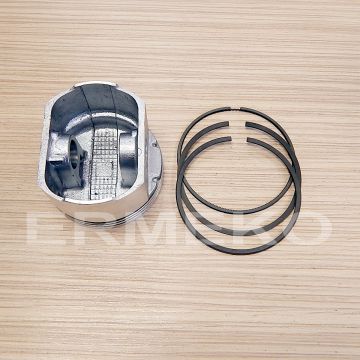 Piston complet STD BRIGGS & STRATTON 697069
