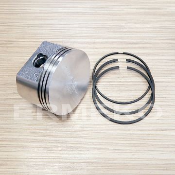 Piston complet STD BRIGGS & STRATTON 697069 - 697069