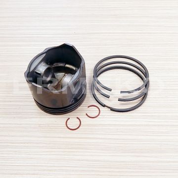 Piston complet STD BRIGGS & STRATTON 499956