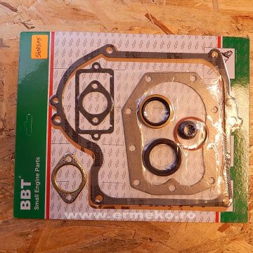 Set garnituri motor BRIGGS & STRATTON 393411 - ER5407375