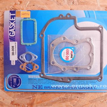 Set garnituri motor BRIGGS & STRATTON (7 - 8 CP cu ax horizontal si vertical) - 299577 - ER5407374