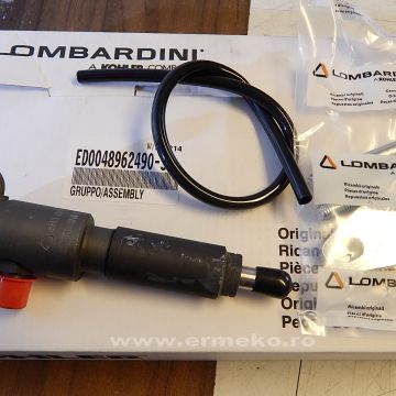 Injector complet motor LOMBARDINI 3LD - 4896249