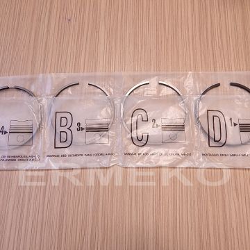 Set segmenti STD LOMBARDINI LDA820, 4LD820, L14 - Ø 102mm - 8210058