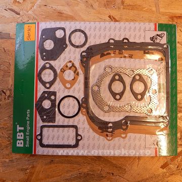 Set garnituri - BRIGGS & STRATTON 297275, 397144, 495602 - ER5407369