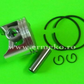 Piston complet - ER100212