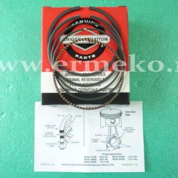 Set segmenti STD motor BRIGGS & STRATTON 791969 - 791969