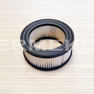 Filtru aer motor BRIGGS & STRATTON - 392286 - ER4104322